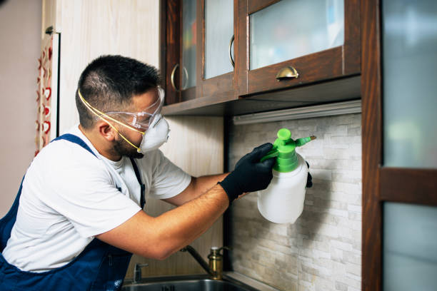 Best Flea Control Services  in Heath, OH