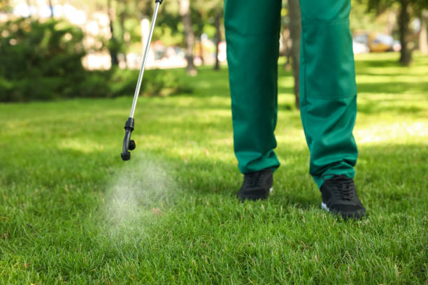 Best Mosquito Control Services  in Heath, OH