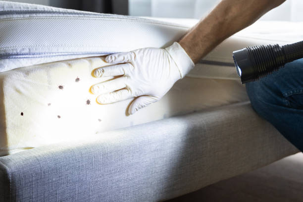 Best Pest Prevention Services  in Heath, OH